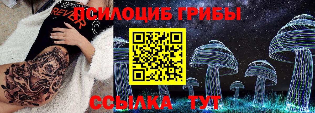 Псилоцибиновые грибы Psilocybe  Вход с VPN  Бор 