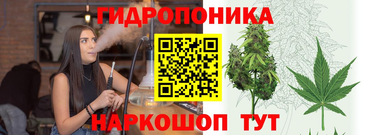 Бошки Шишки тримм  Канабис тримм  Бор  Вход с VPN  Каннабис THC 21% 